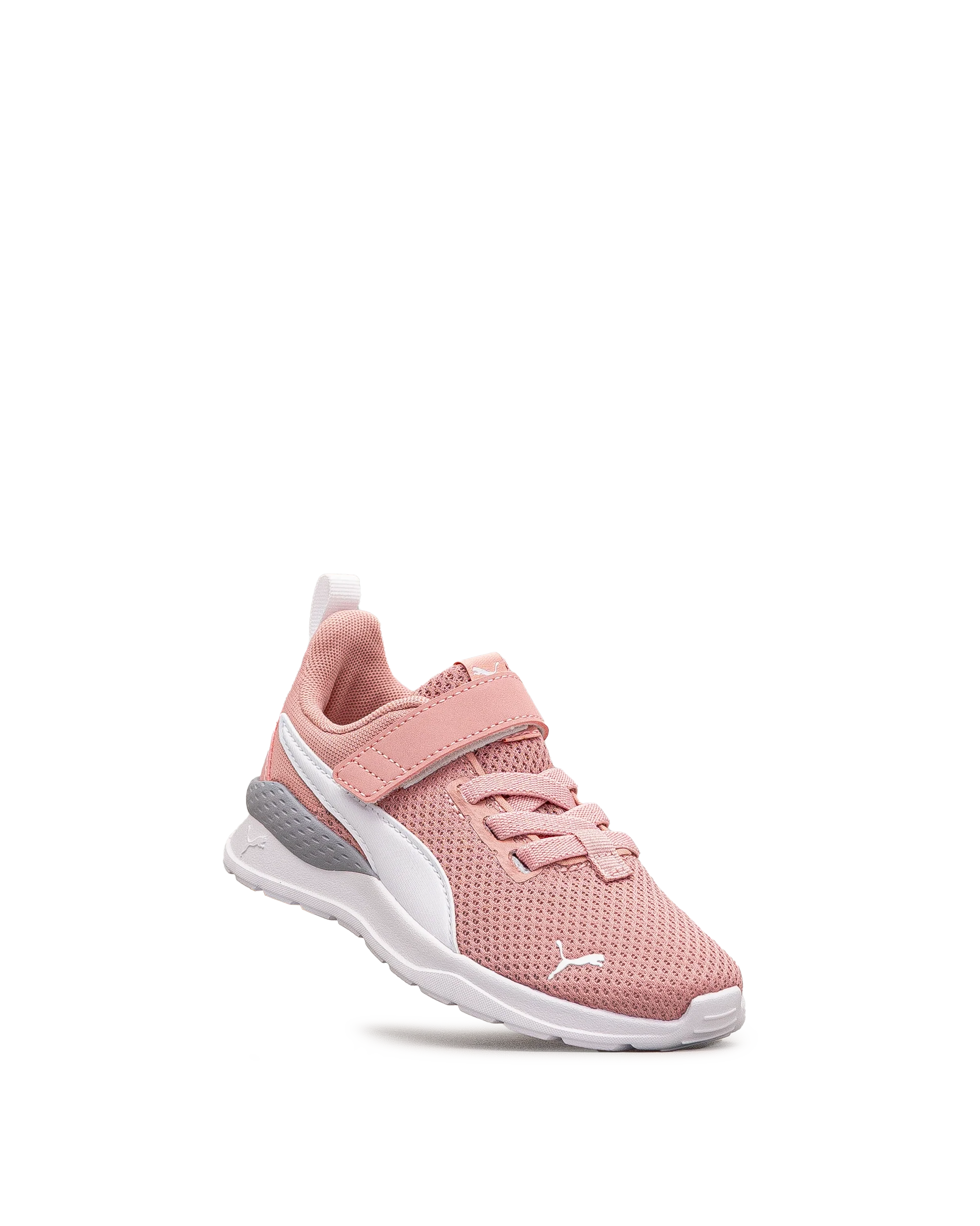 Anzarun lite ps - Blanc&rose - #43E-47