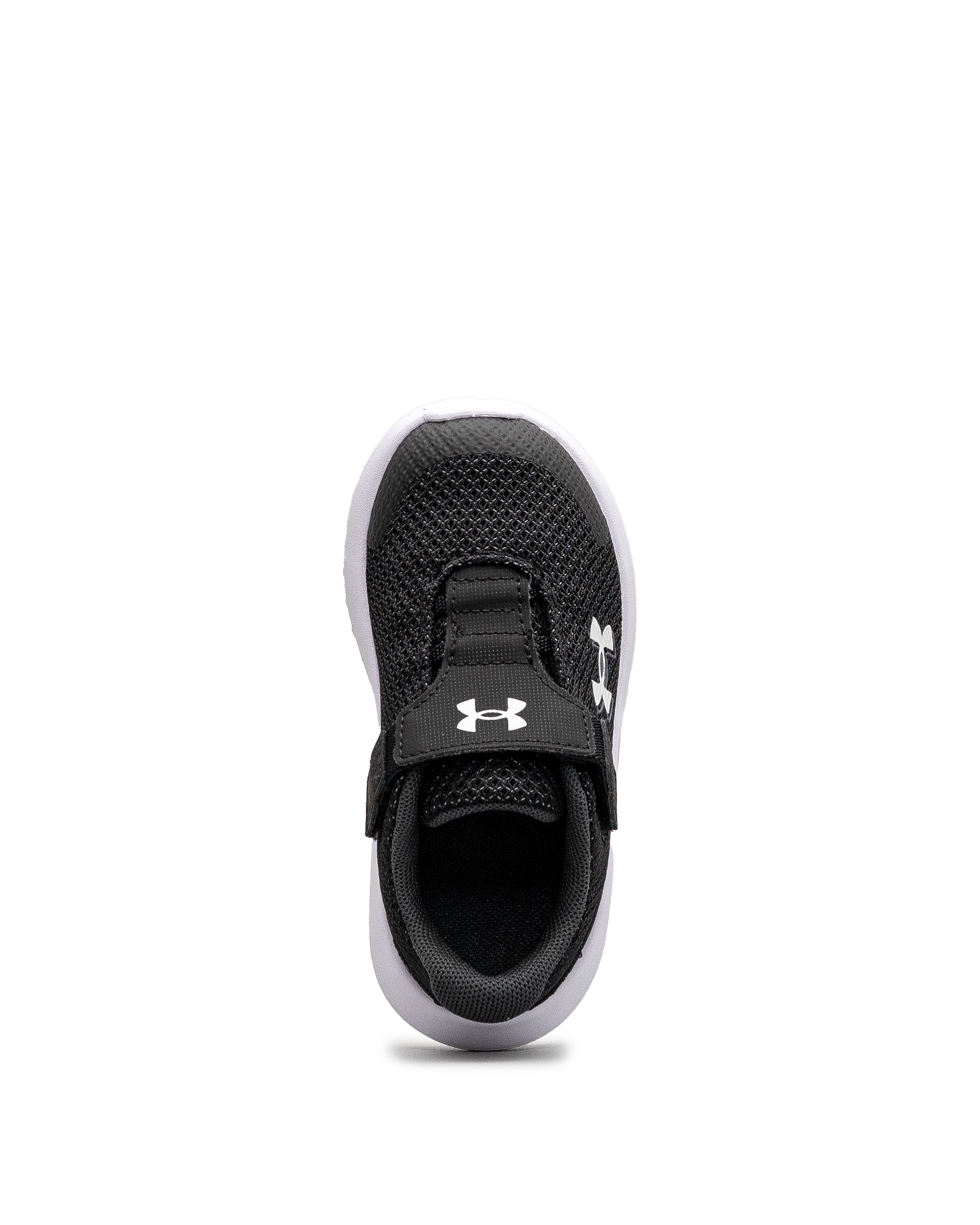 Surge 4ac td  - Noir - #43E-60 - Image 5