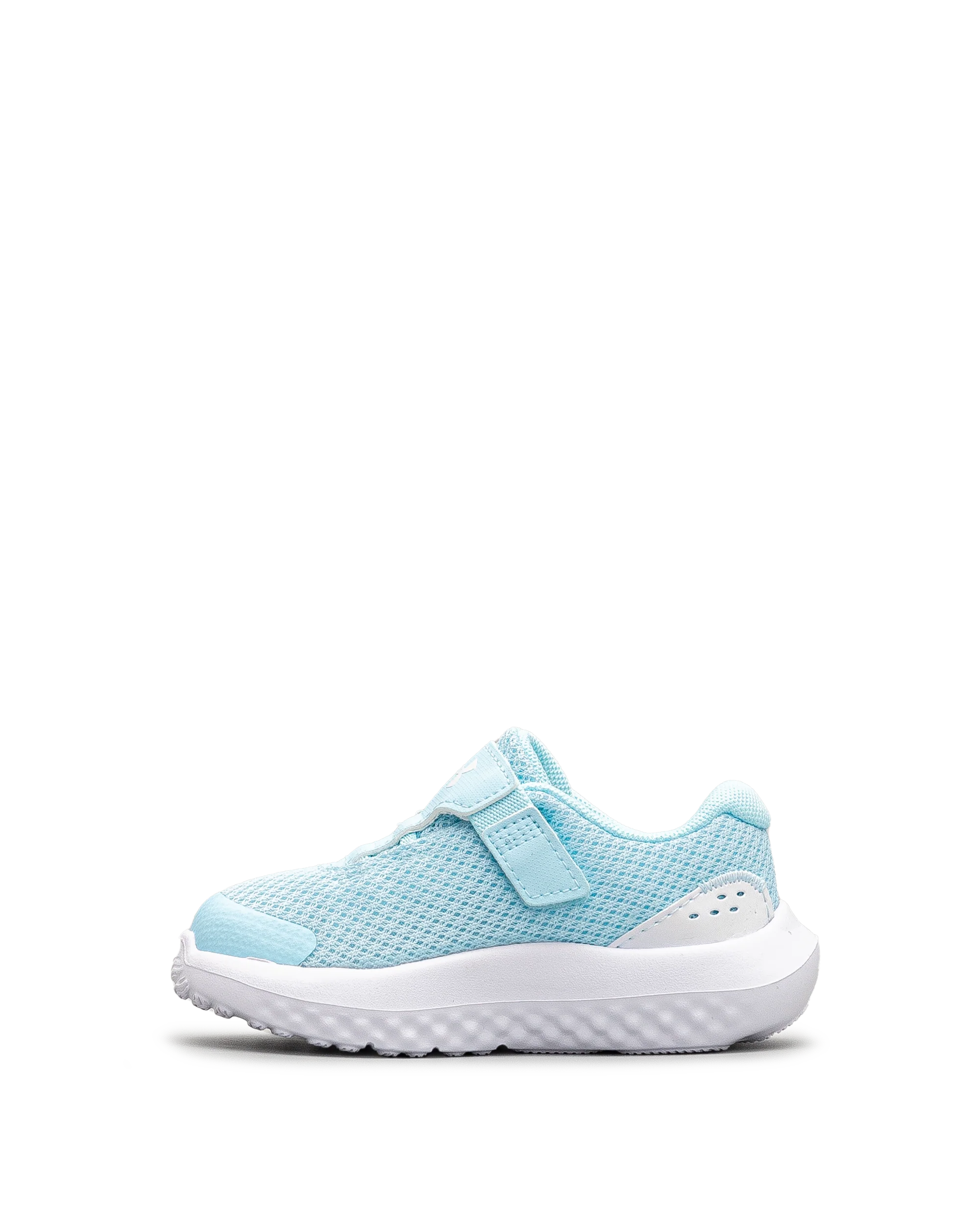 Surge 4ac td  - Turquoise - #43E-60 - Image 3